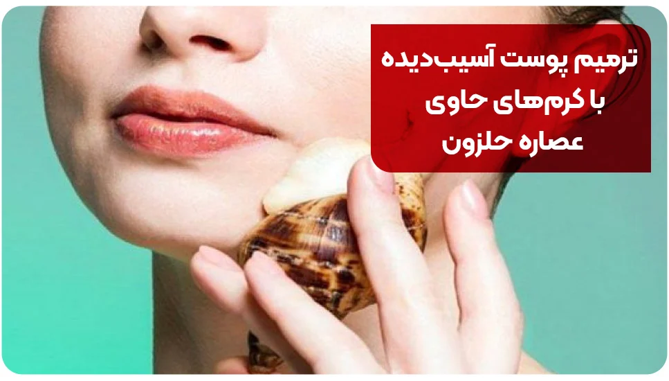 ترمیم پوست آسیب‌دیده با کرم‌های حاوی عصاره حلزون
