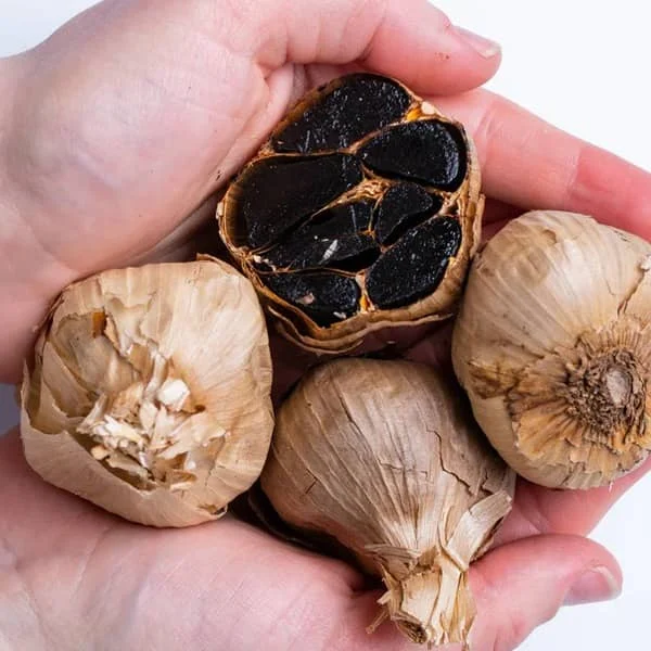 طریقه مصرف سیر سیاه دکتر بیز برای زود انزالی