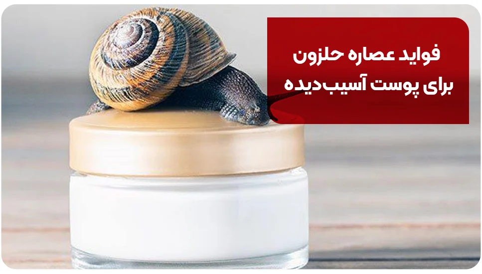 فواید عصاره حلزون برای پوست آسیب&zwnj;دیده