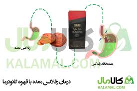 گانودرما | قهوه قهوه گانودرما و رفلاکس معده: تسکین یا تشدید؟