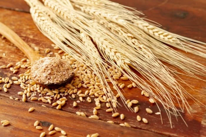 &nbsp;چگونه اطلاعات بیشتر در مورد سبوس برنج را بدست آوریم؟