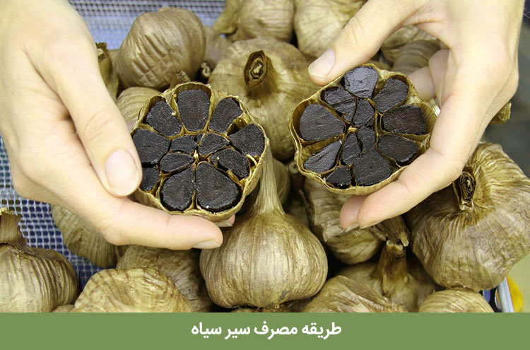 طریقه مصرف سیر سیاه | بهترین زمان استفاده از سیر سیاه برای دریافت خواص بی نظیر آن